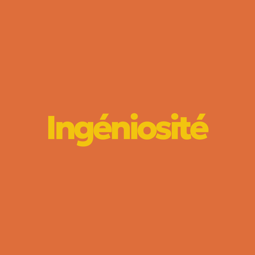 valeur ingeniosite orange hobe explore